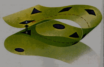 Image520.gif (35598 bytes)